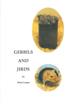 Gerbils and Jirds
