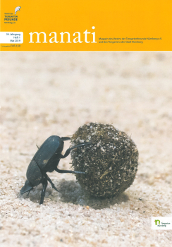 manati 34. Jahrgang, Heft 1 -  Mai 2019