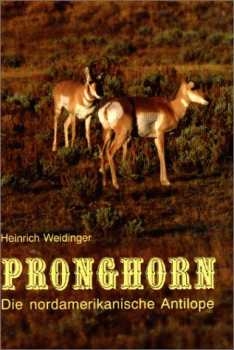 Pronghorn - die nordamerikanishe Antilope