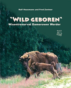 Wild geboren: Wisentreservat Damerower Werder