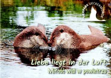 Tierpark Ueckersmünde - Liebe liegt in der Luft (Milosc wisi w powietrzu)  [Besucherinformation 2025]