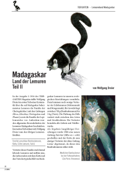 Madagaskar - Land der Lemuren: Teil 2 (16 Seiten, Heft 2-2016)