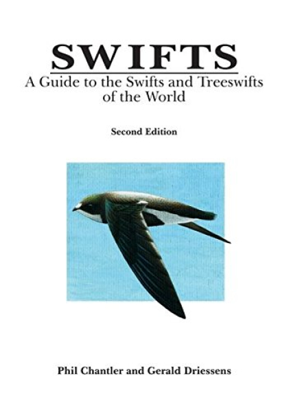 Swifts (Birds of the World)