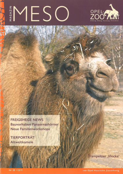 Opel-Zoo Meso 1/2019