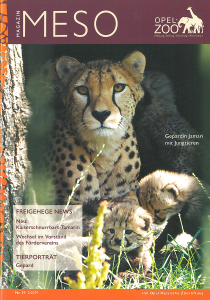 Opel-Zoo Meso 2/2019