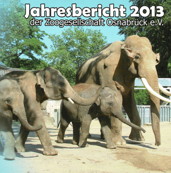 Osnabrück - Jahresbericht 2013