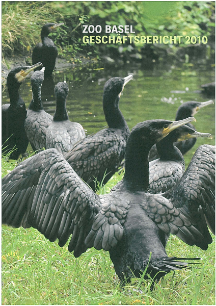 Zoo Basel Geschäftsbericht 2010