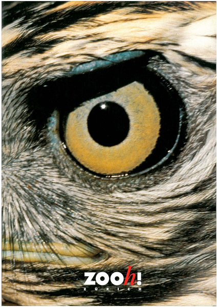 Zooh Zürich - Zoovision