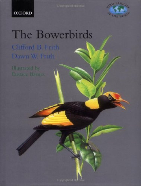 The Bowerbirds