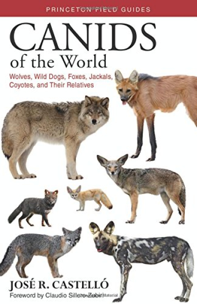 Canids of he World