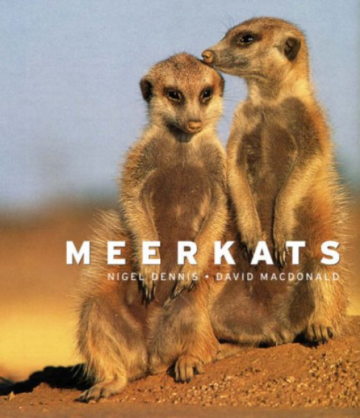Meerkats (New Edition)