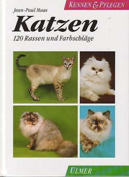 Katzen