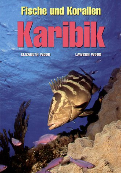 Fische und Korallen - Karibik