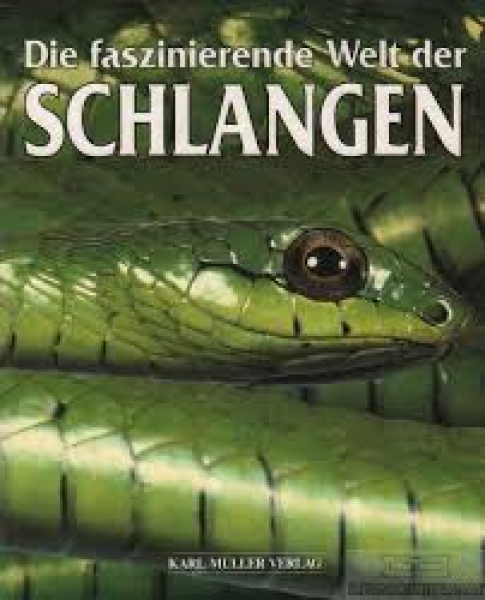 Schlangen - die faszinierende Welt