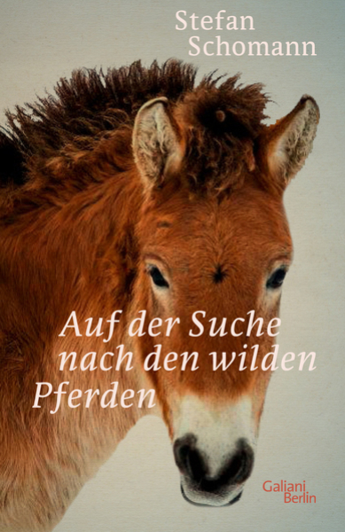 Auf der Suche nach den wilden Pferden