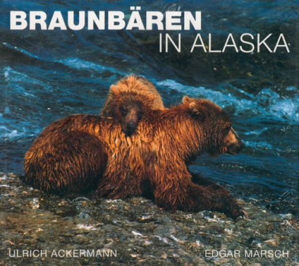 Braunbären in Alaska