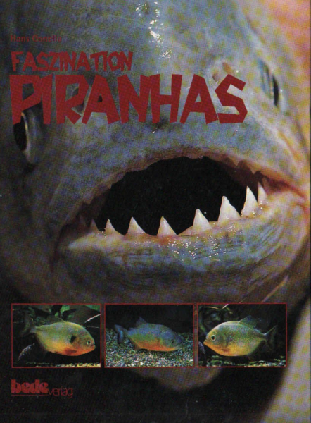 Faszination Piranhas