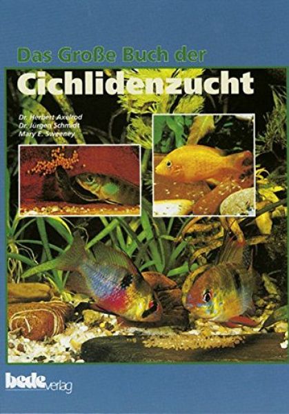 Cichlidenzucht