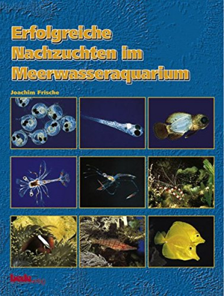 Meerwasseraquarium: Erfolgreiche Nachzuchten