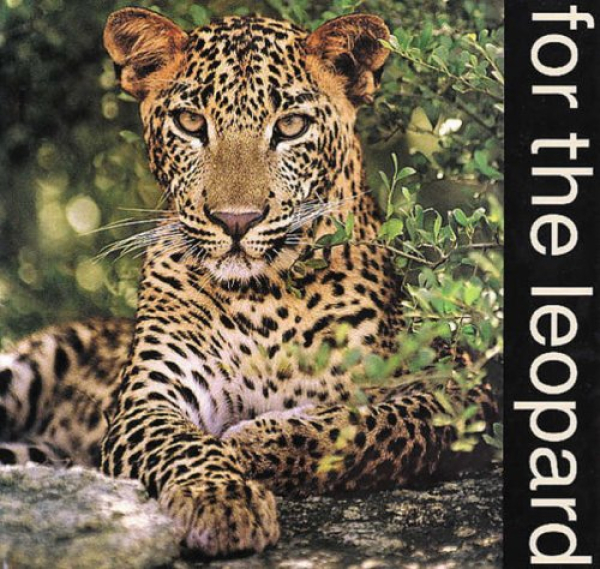 For the Leopard