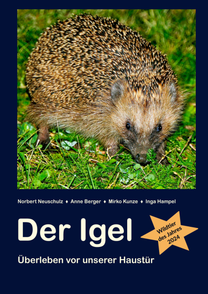 Der Igel: Überleben vor unserer Haustür