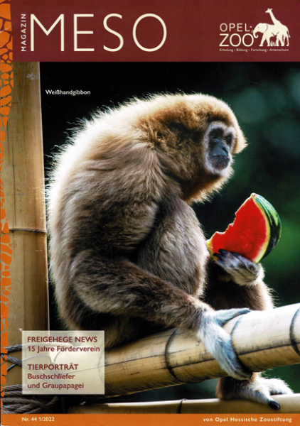 Opel-Zoo Meso 1/2022