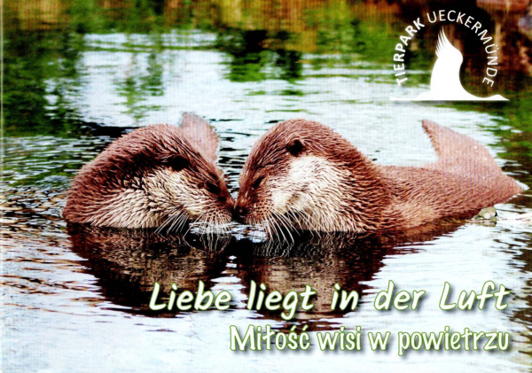 Tierpark Ueckersmünde - Liebe liegt in der Luft (Milosc wisi w powietrzu)  [Besucherinformation 2025]
