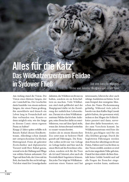 Alles für die Katz‘ - Das Wildkatzenzentrum Felidae (3 Seiten, Heft 1-2016)
